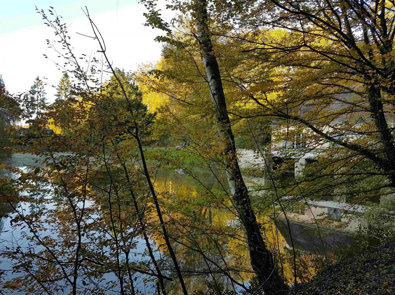 Vue de la forêt