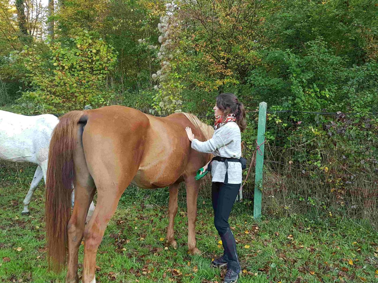 Cavalières au petit matin