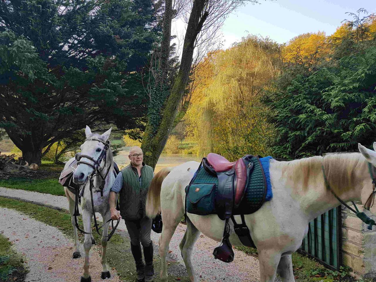 Sortie en foret à cheval