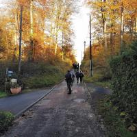 Ballade en forêt de Compiègne