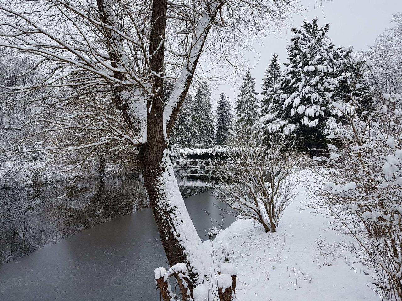 freezing of the pond