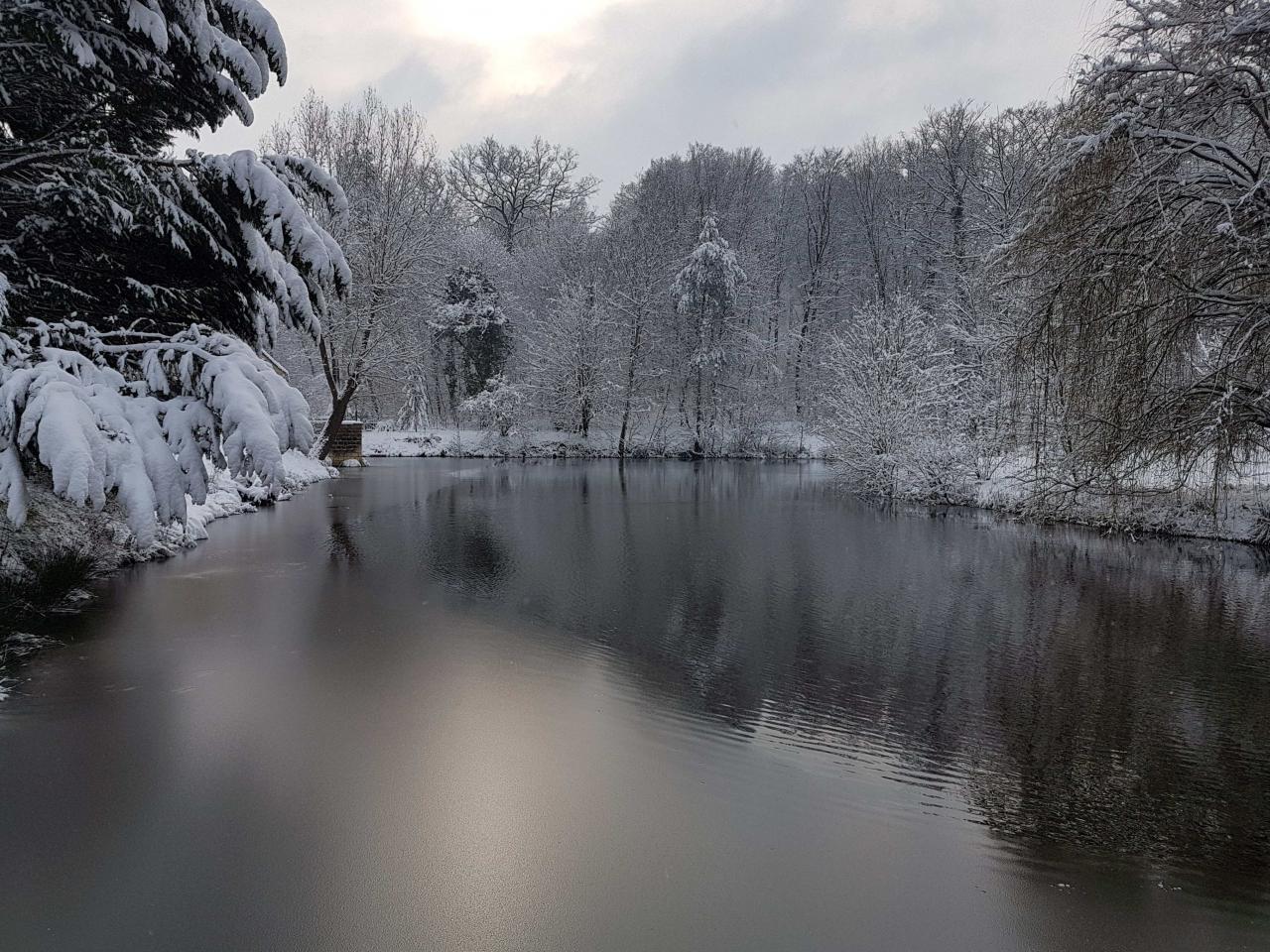 pond of the nest nest in the forest