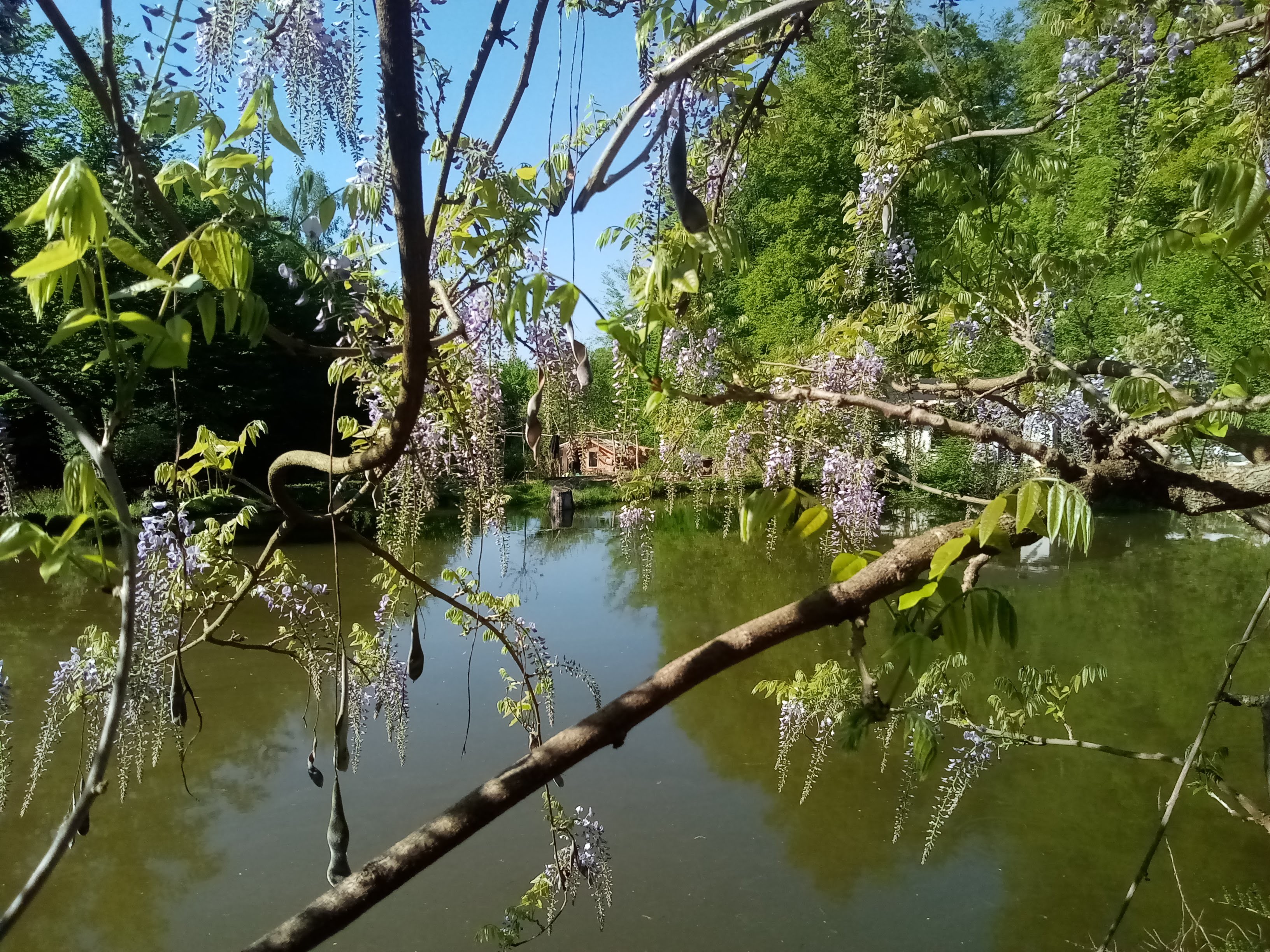 etang st jean mai 2020