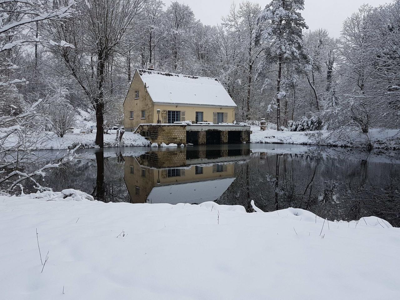 Nid dans la forêt sous la neige