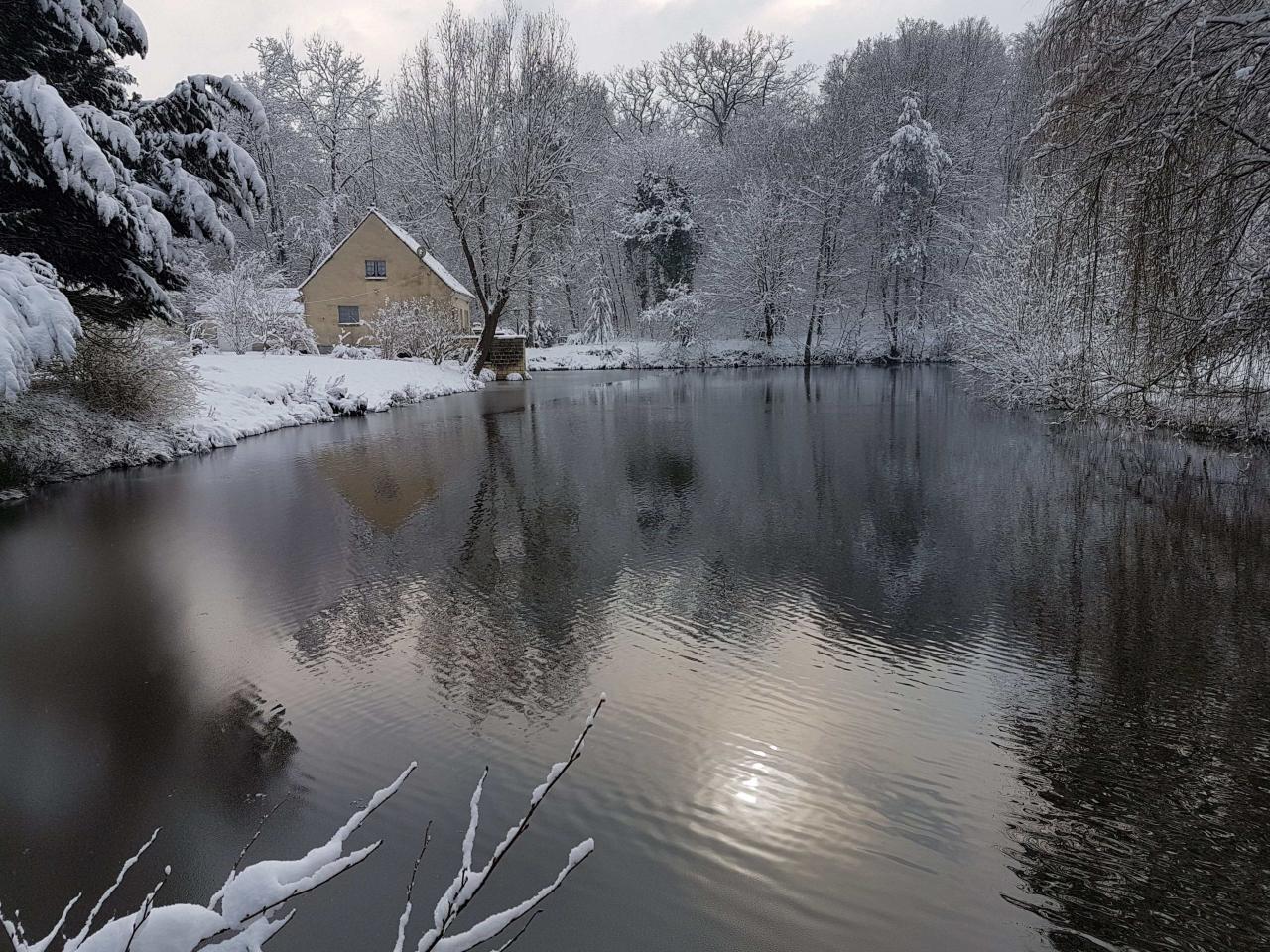 nest in the forest under the snow