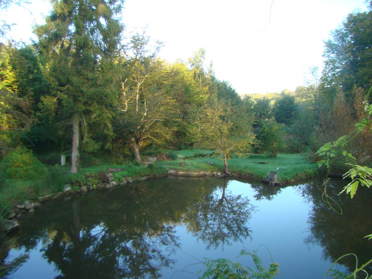 vu sur l'étang du jardin de saint jean