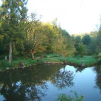 vu sur l'étang du jardin de saint jean